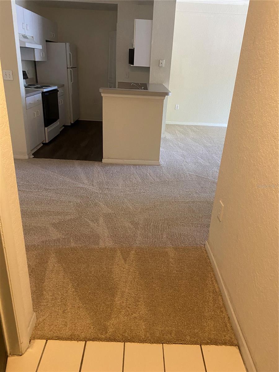 17110 CARRINGTON PARK DR #803 — photo 2