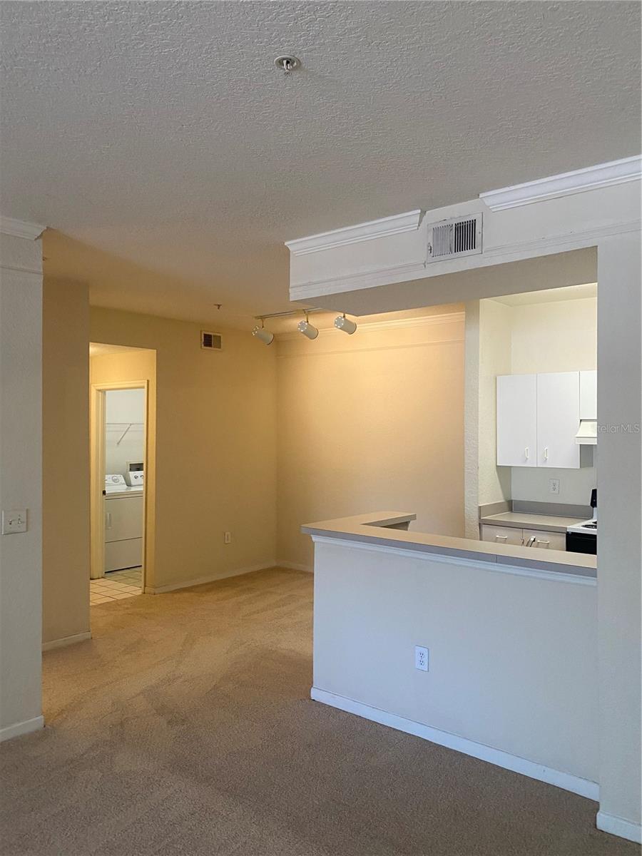 17110 CARRINGTON PARK DR #803 — photo 12