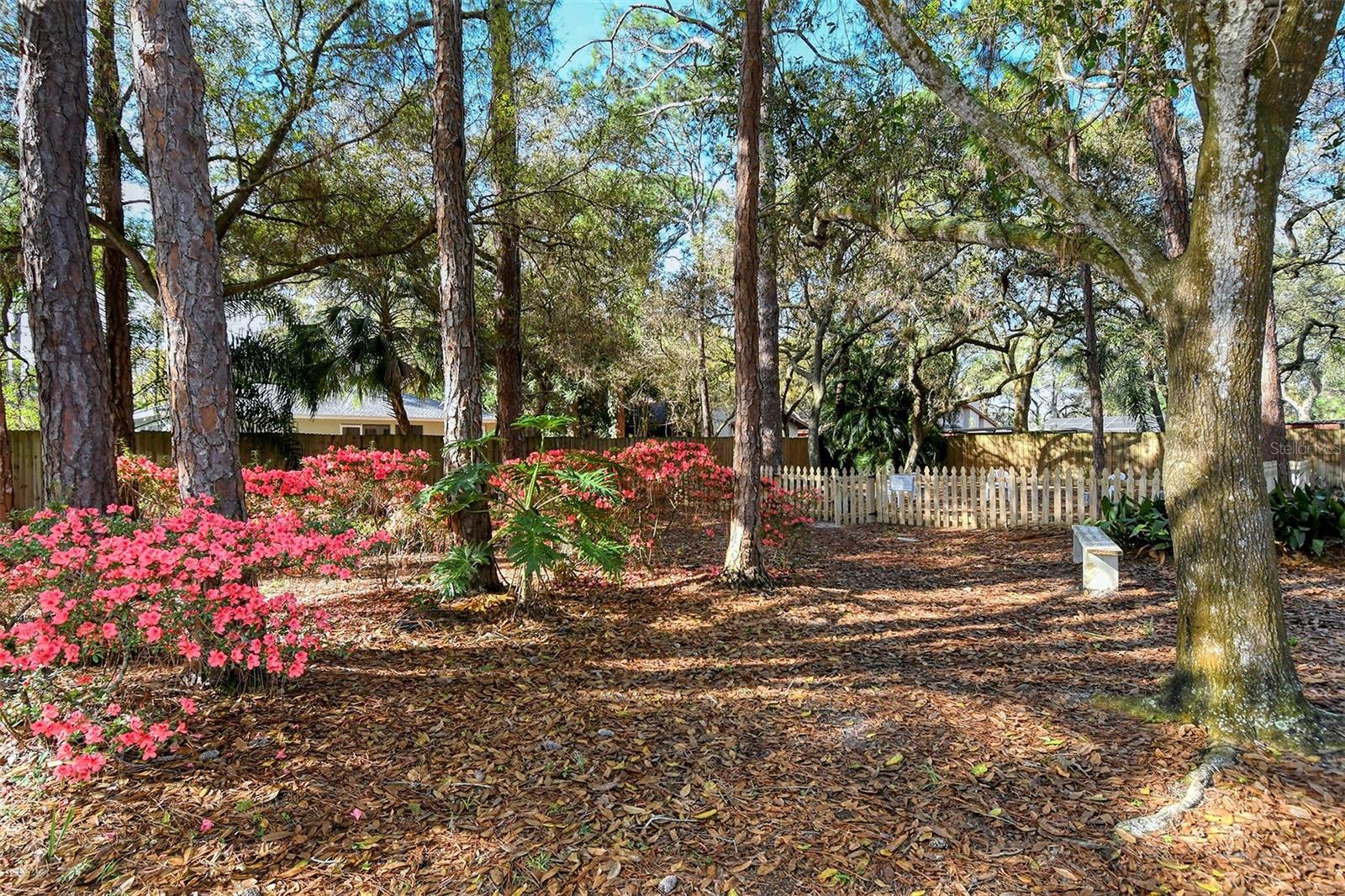 1209 TALLYWOOD DR #7005 — photo 50