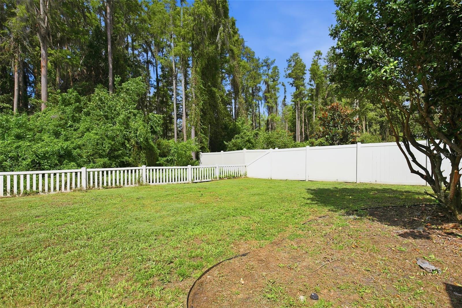 7627 BLUE SPRING DR — photo 34