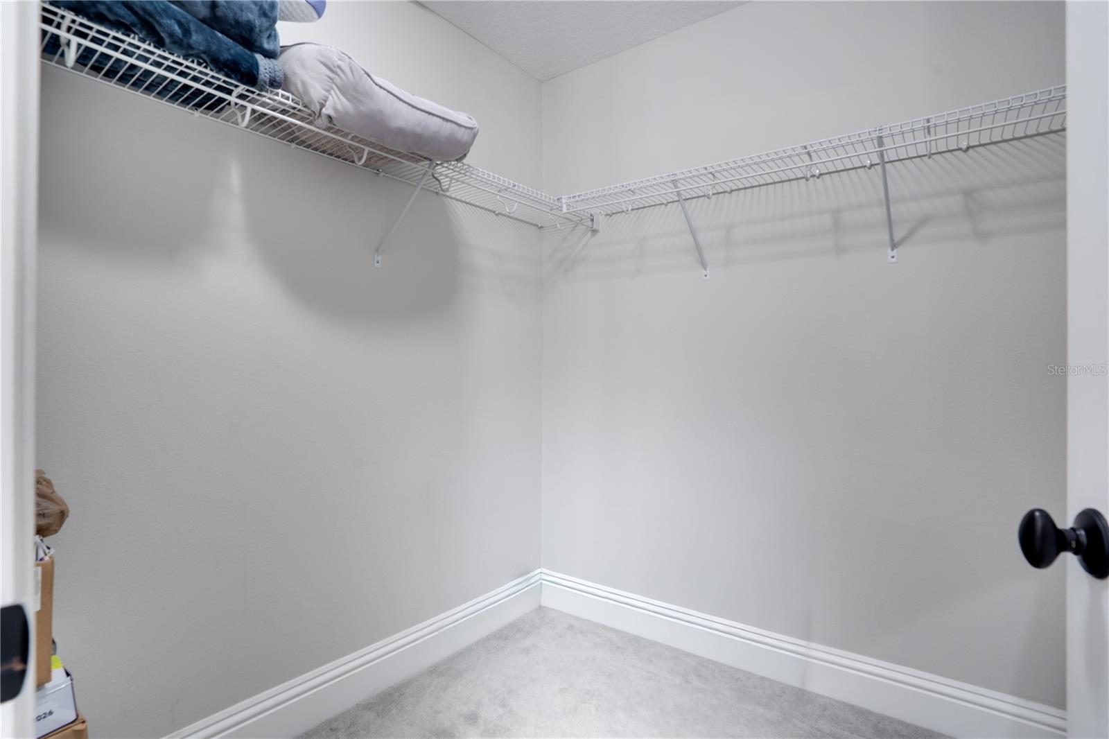 2430 GOLDEN PASTURE CIR — photo 33