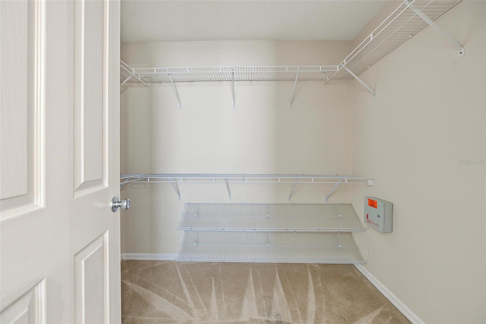 5809 BLACK WALNUT CT — photo 15