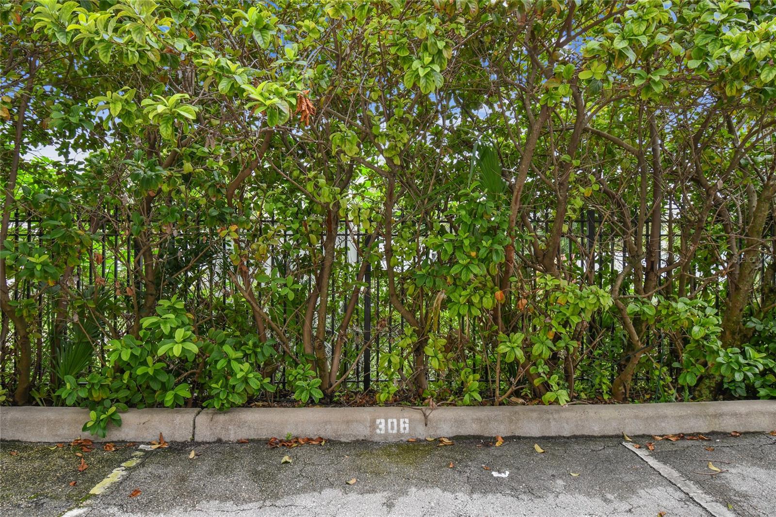 1621 E 4TH AVE #306 — photo 52