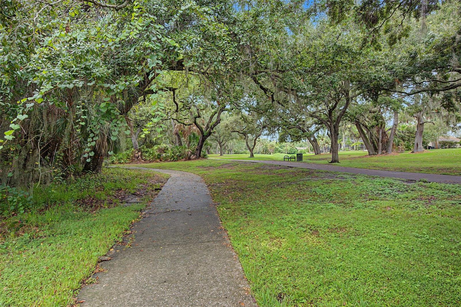 420 N BAYSHORE BLVD #104 — photo 44