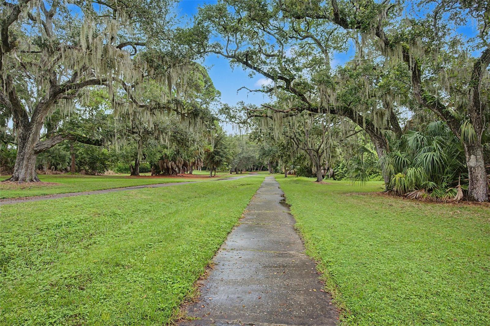 420 N BAYSHORE BLVD #104 — photo 45