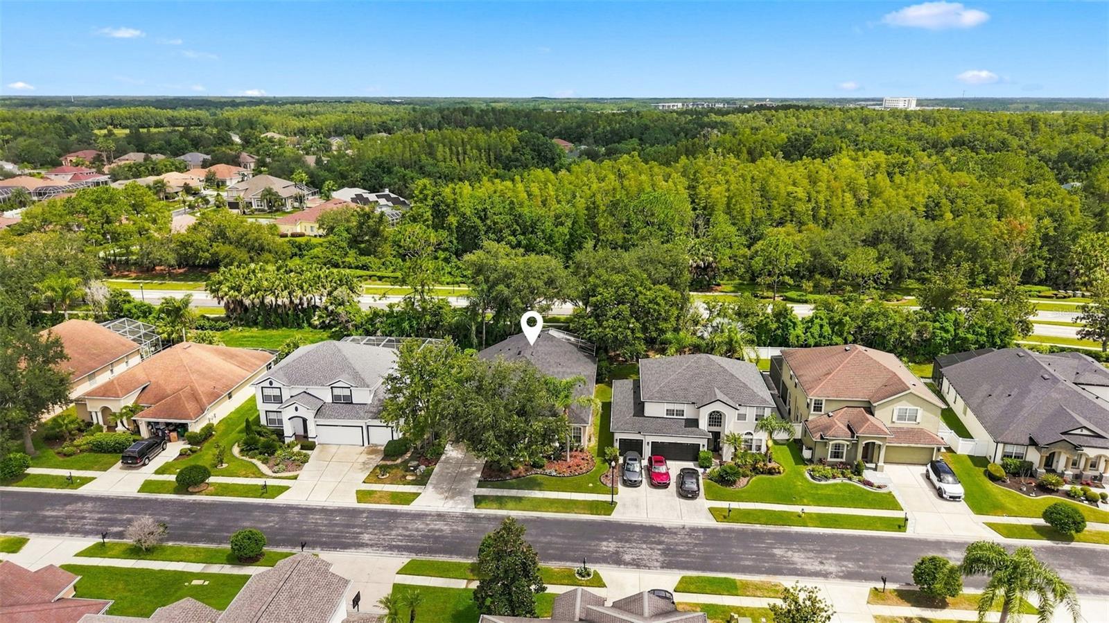 27417 SILVER THATCH DR — photo 11