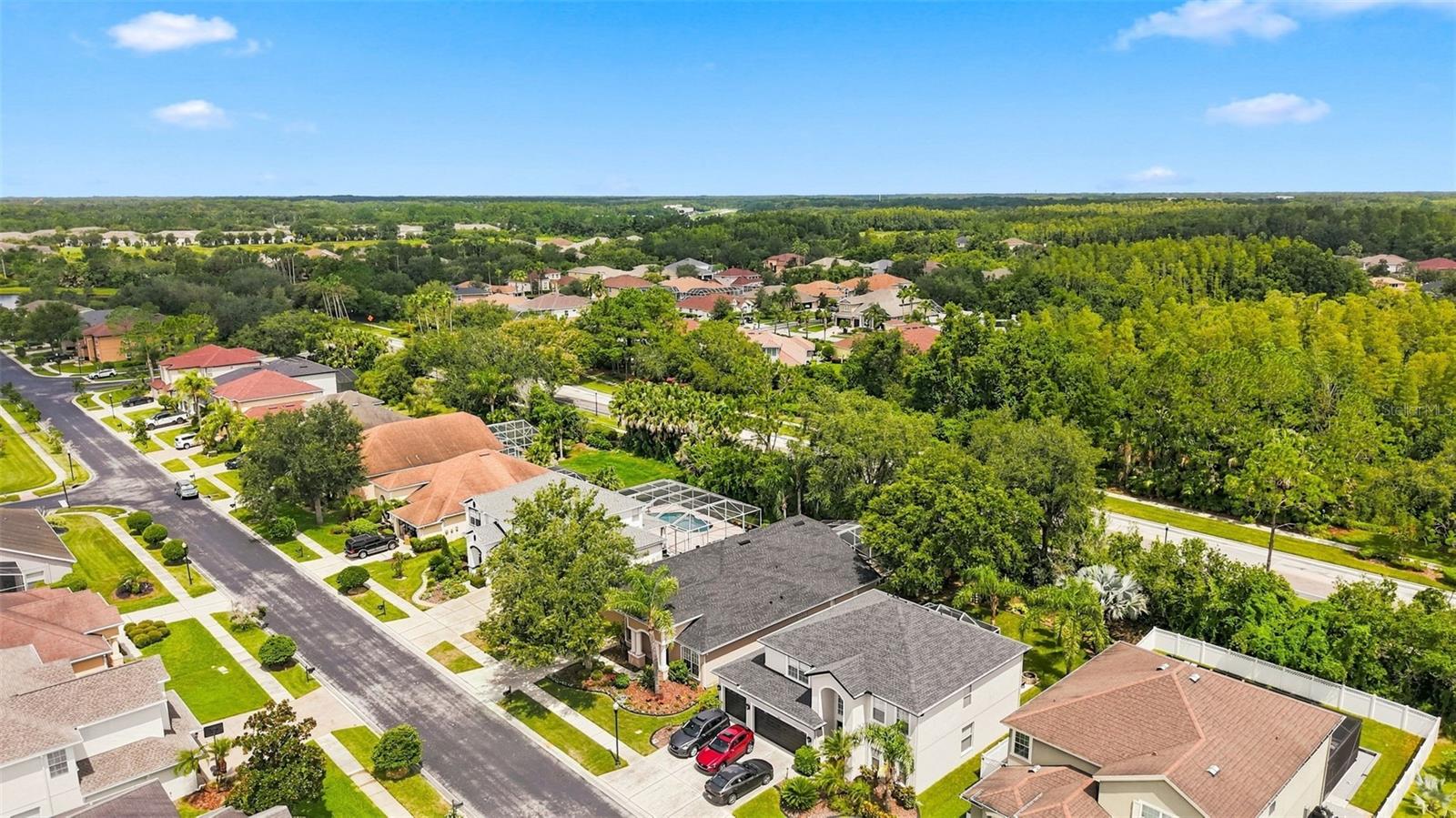27417 SILVER THATCH DR — photo 5