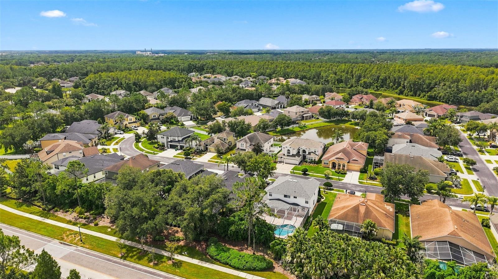 27417 SILVER THATCH DR — photo 6