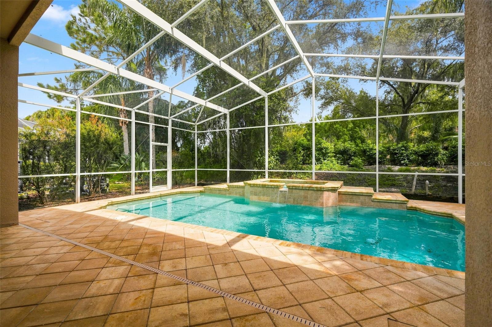 27417 SILVER THATCH DR — photo 48