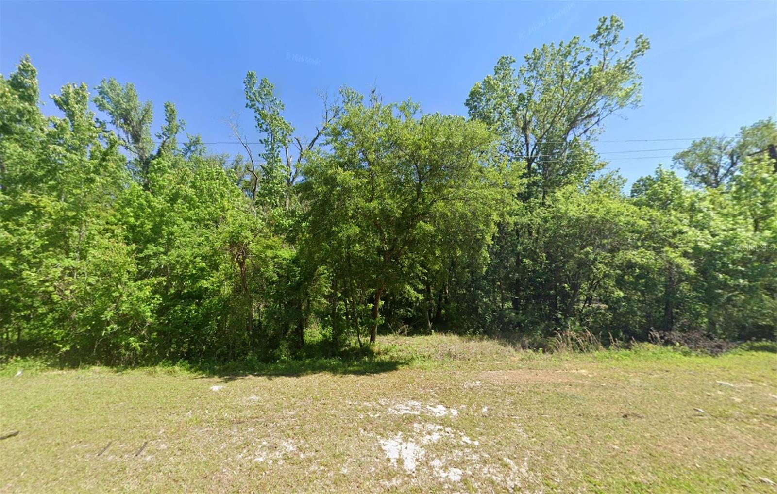 33901 ST JOE RD — photo 2
