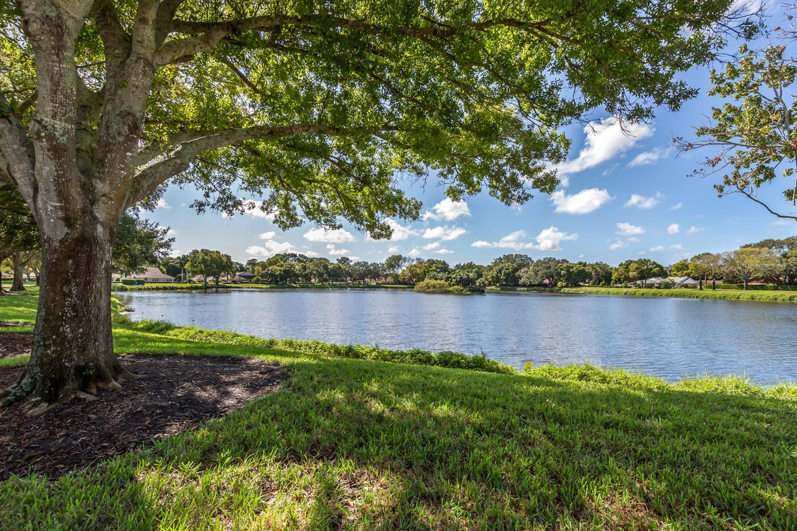 443 BERMUDA ISLES CIR — photo 53