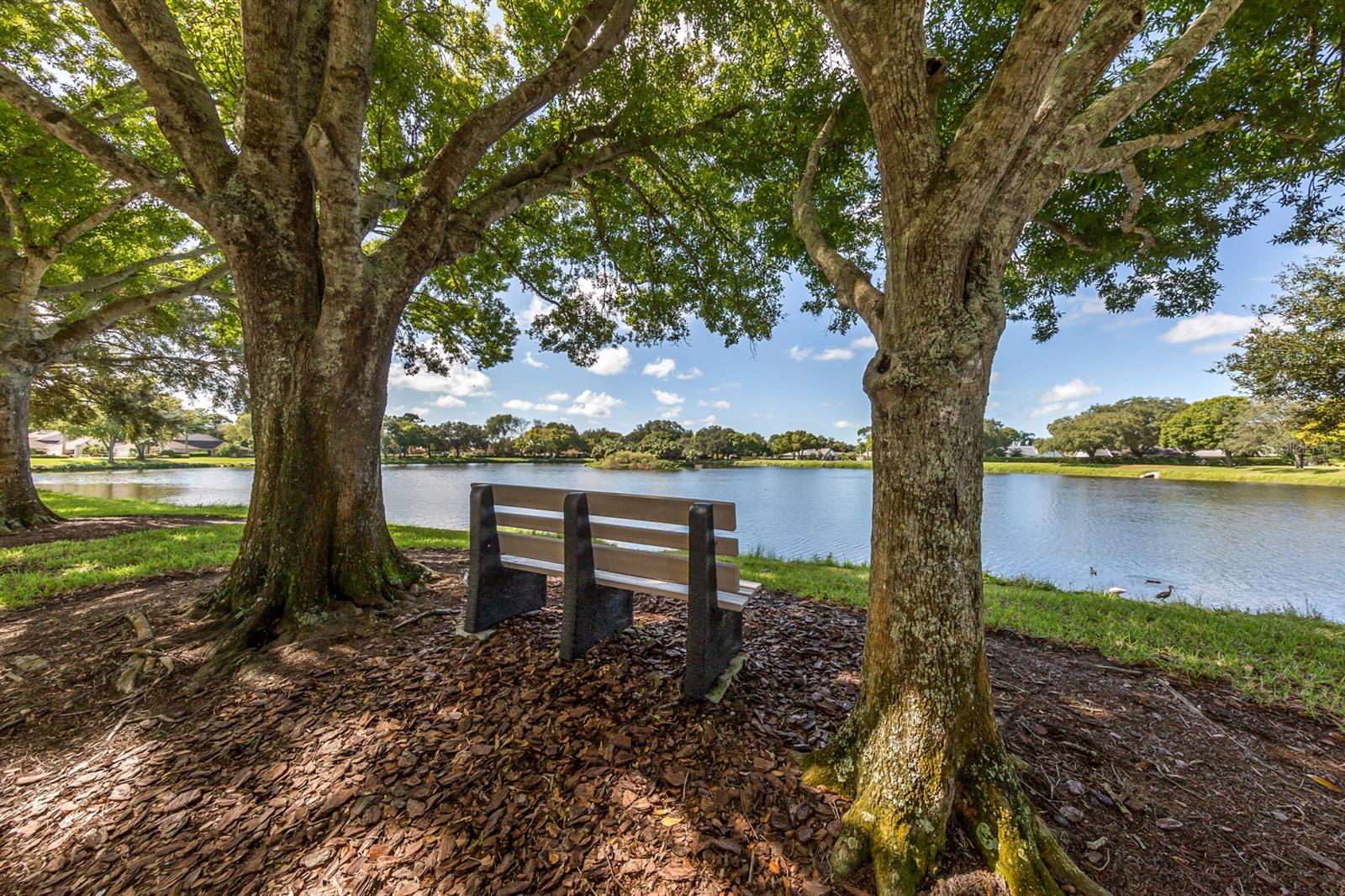 443 BERMUDA ISLES CIR — photo 52