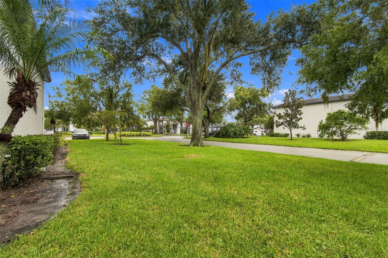131 CYPRESS LN #131 — photo 39