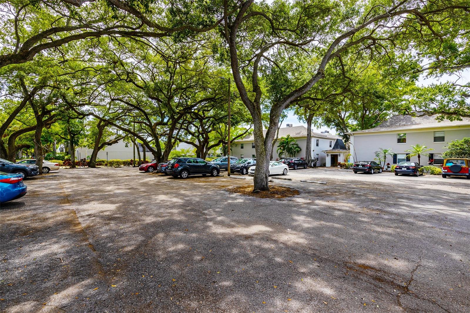 5221 BAYSHORE BLVD #26 — photo 13