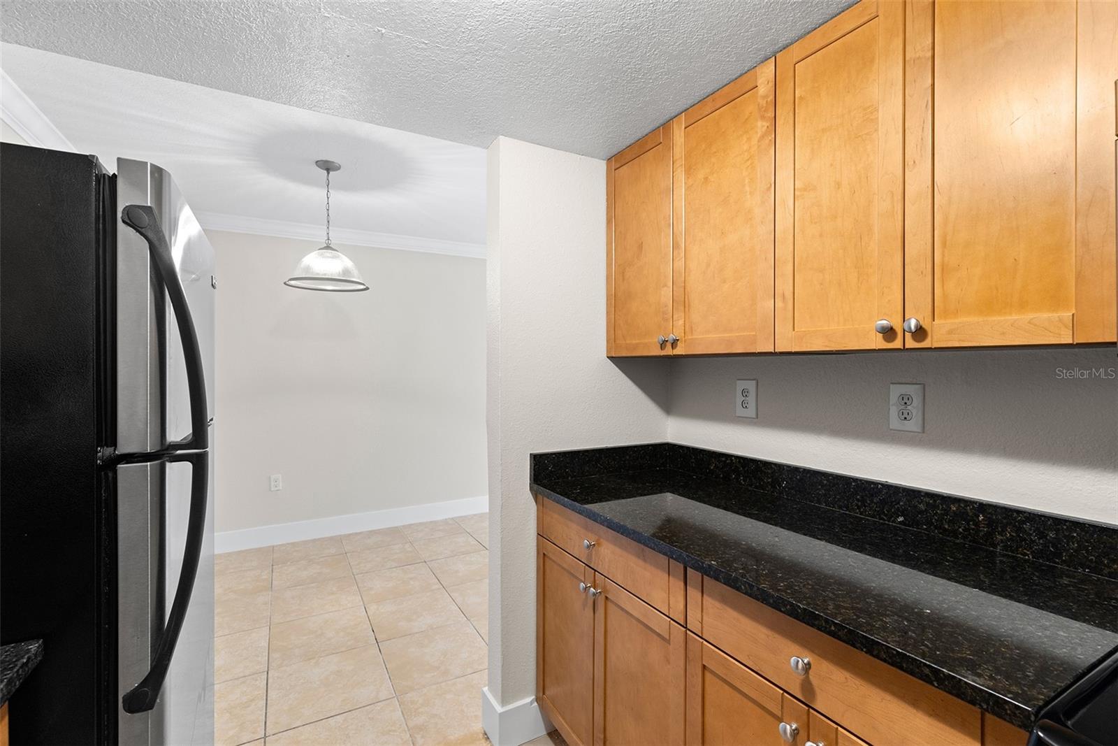 5221 BAYSHORE BLVD #26 — photo 33