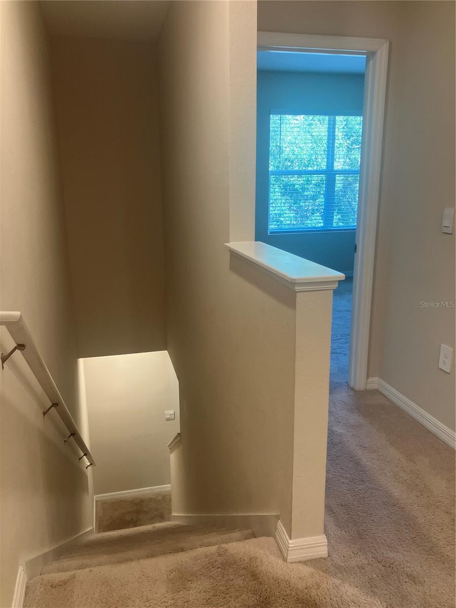 6548 CALYPSO CORAL LN — photo 13