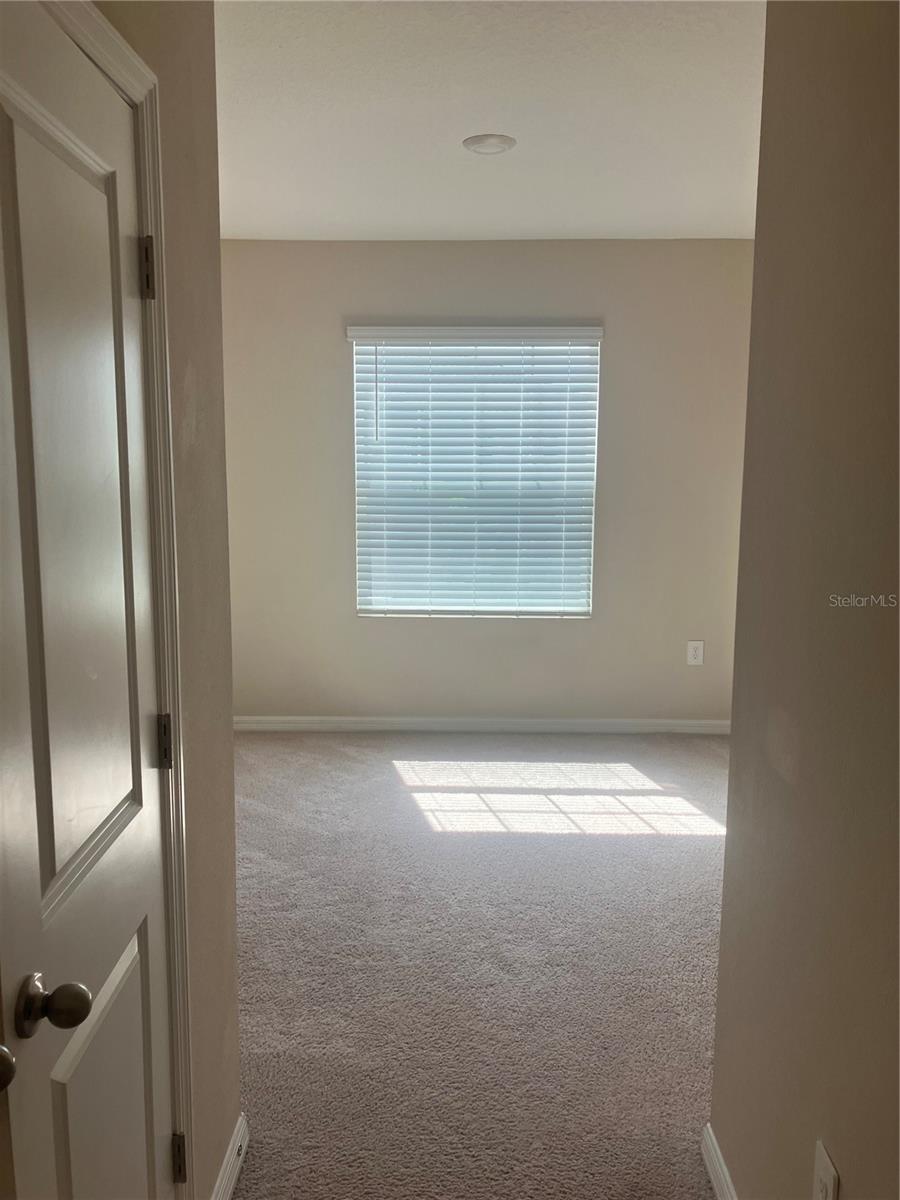 6548 CALYPSO CORAL LN — photo 12