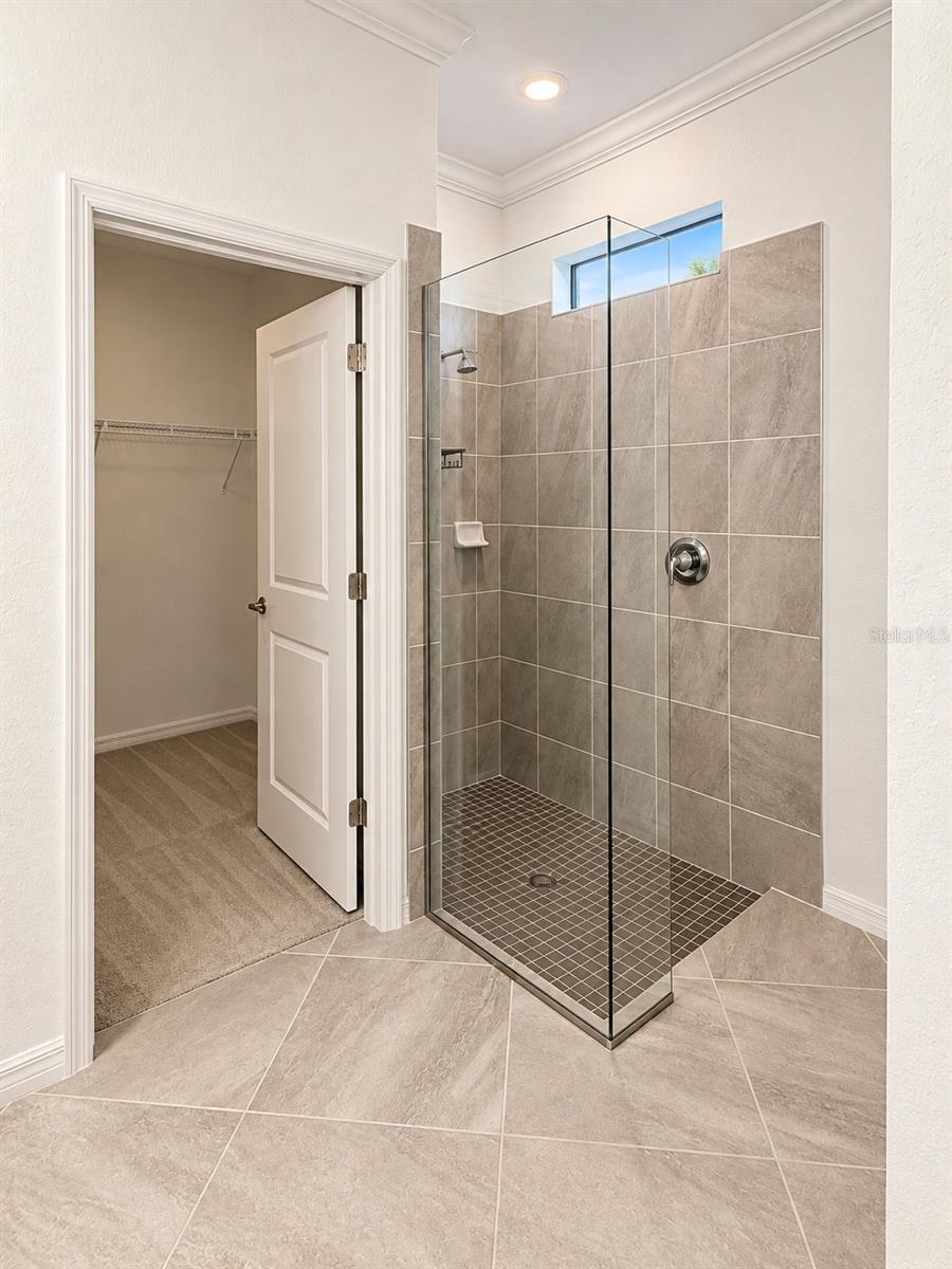 24213 SPARTINA DR — photo 13