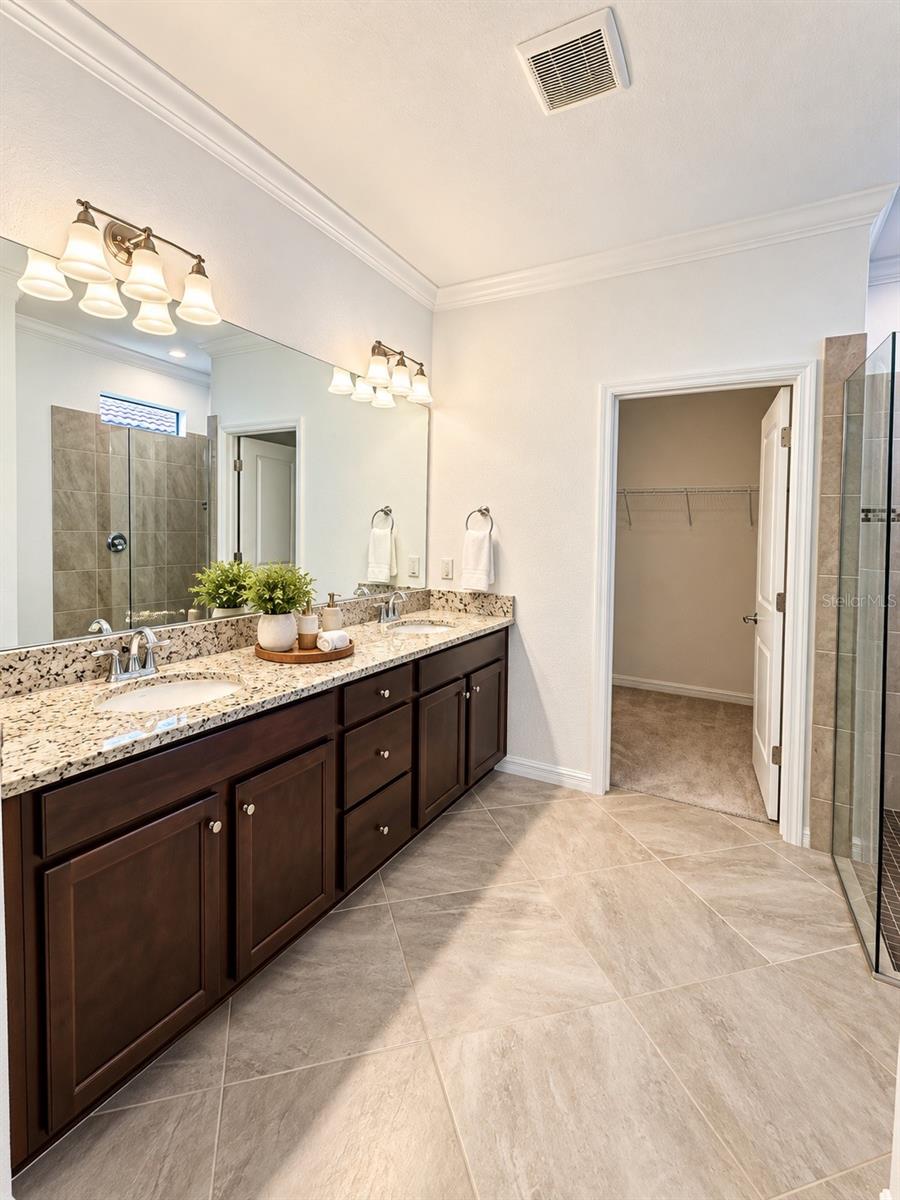 24213 SPARTINA DR — photo 12