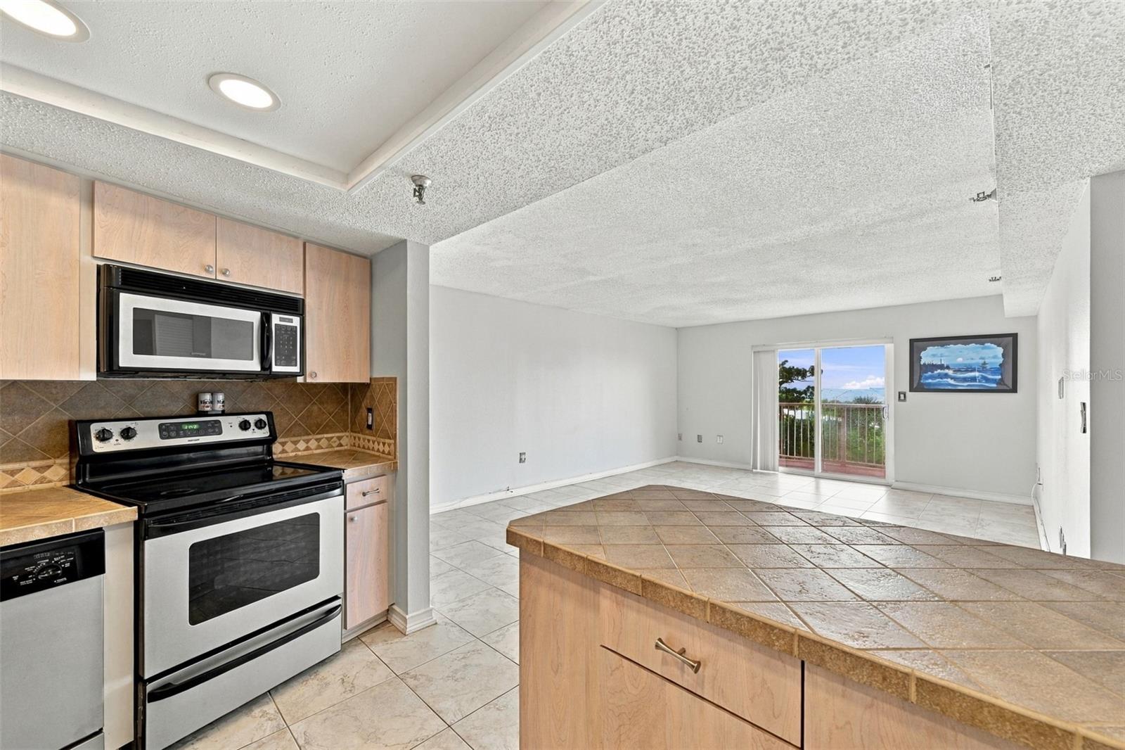 7430 SUNSHINE SKYWAY LN S #505 — photo 5