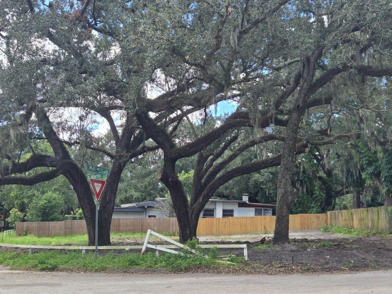 Home in TAMPA — photo 2