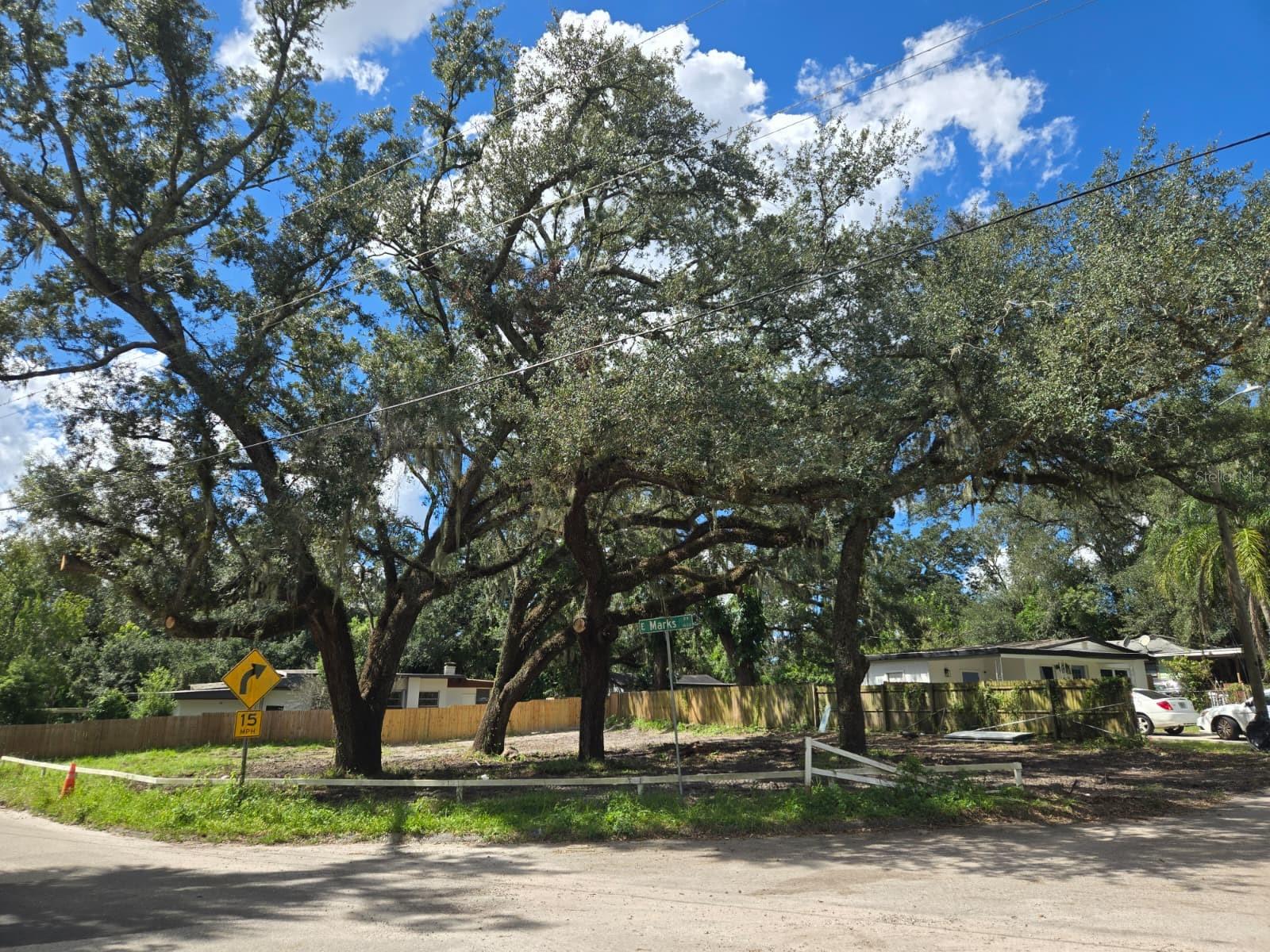 Home in TAMPA — photo 3