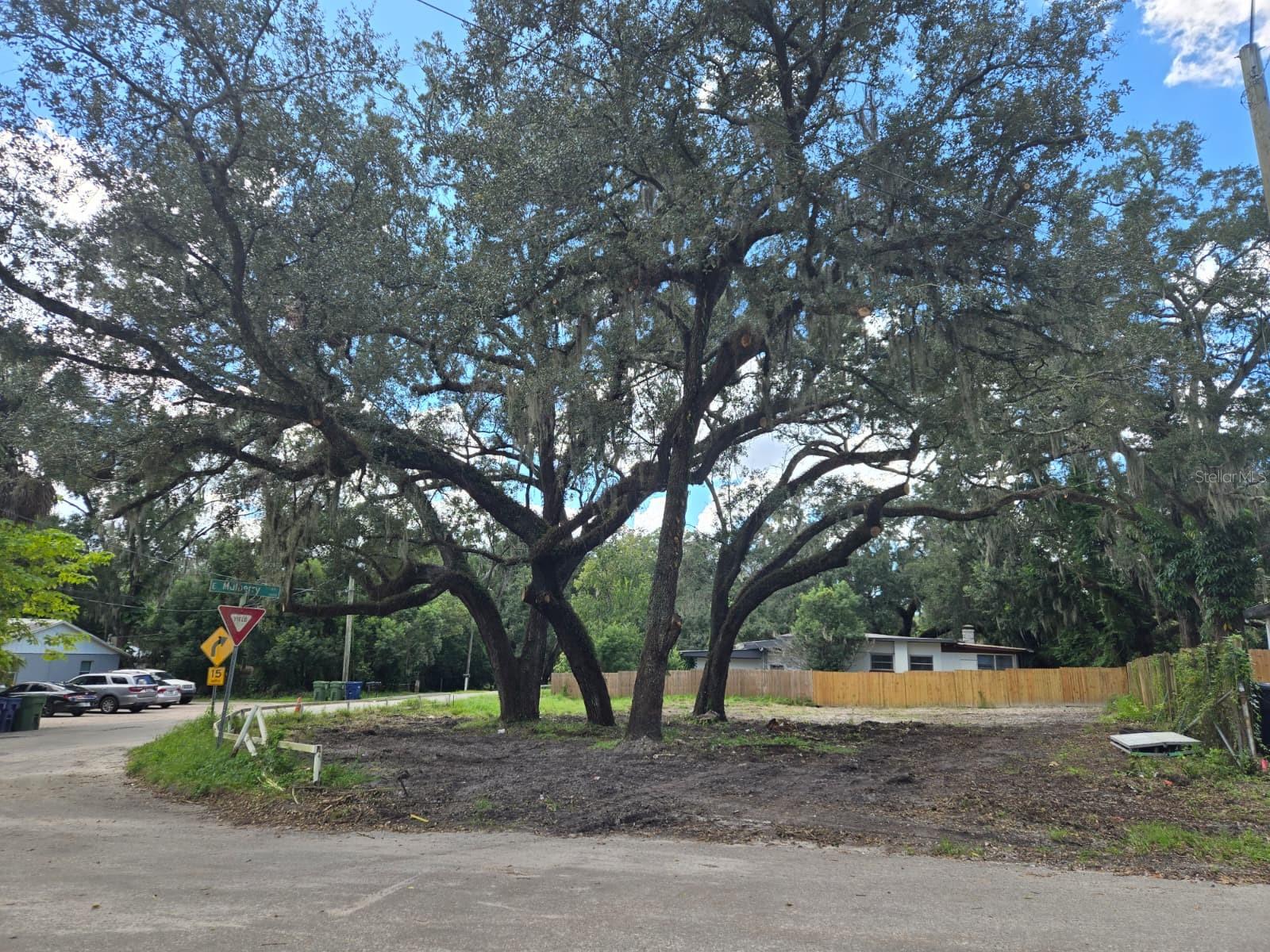 Home in TAMPA — photo 4