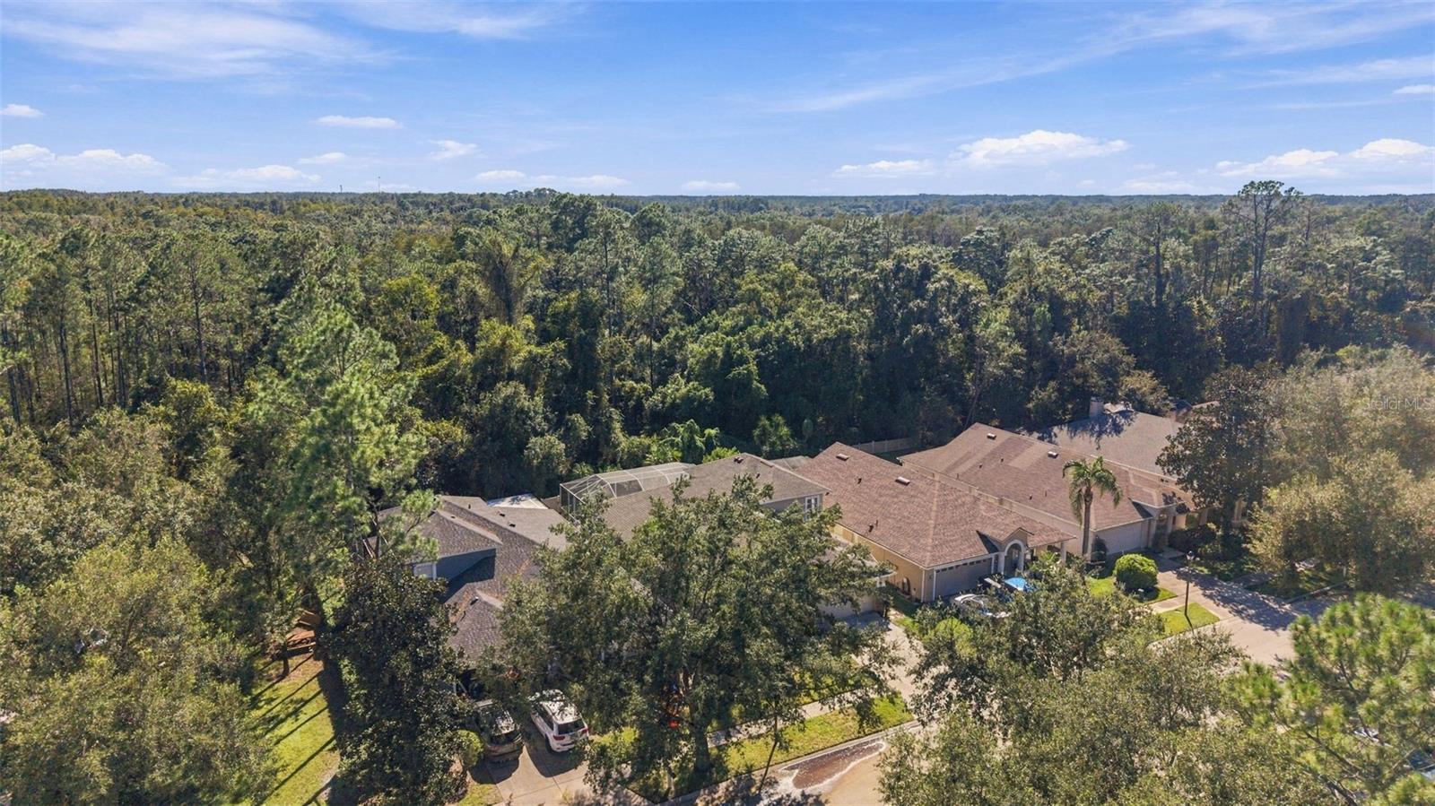 21916 WAVERLY SHORES LN — photo 56