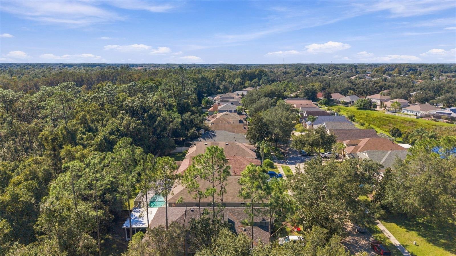 21916 WAVERLY SHORES LN — photo 60