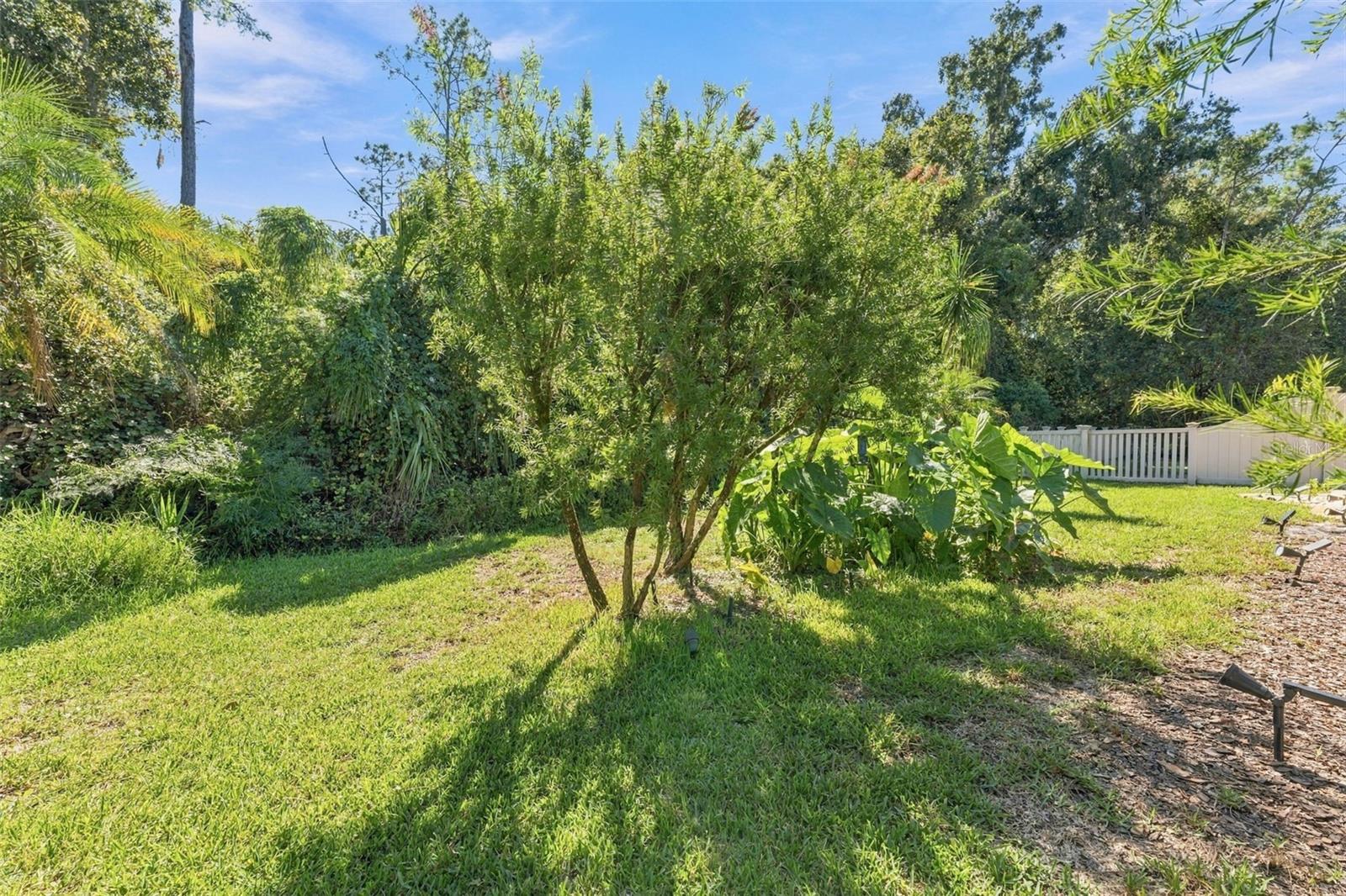 21916 WAVERLY SHORES LN — photo 52