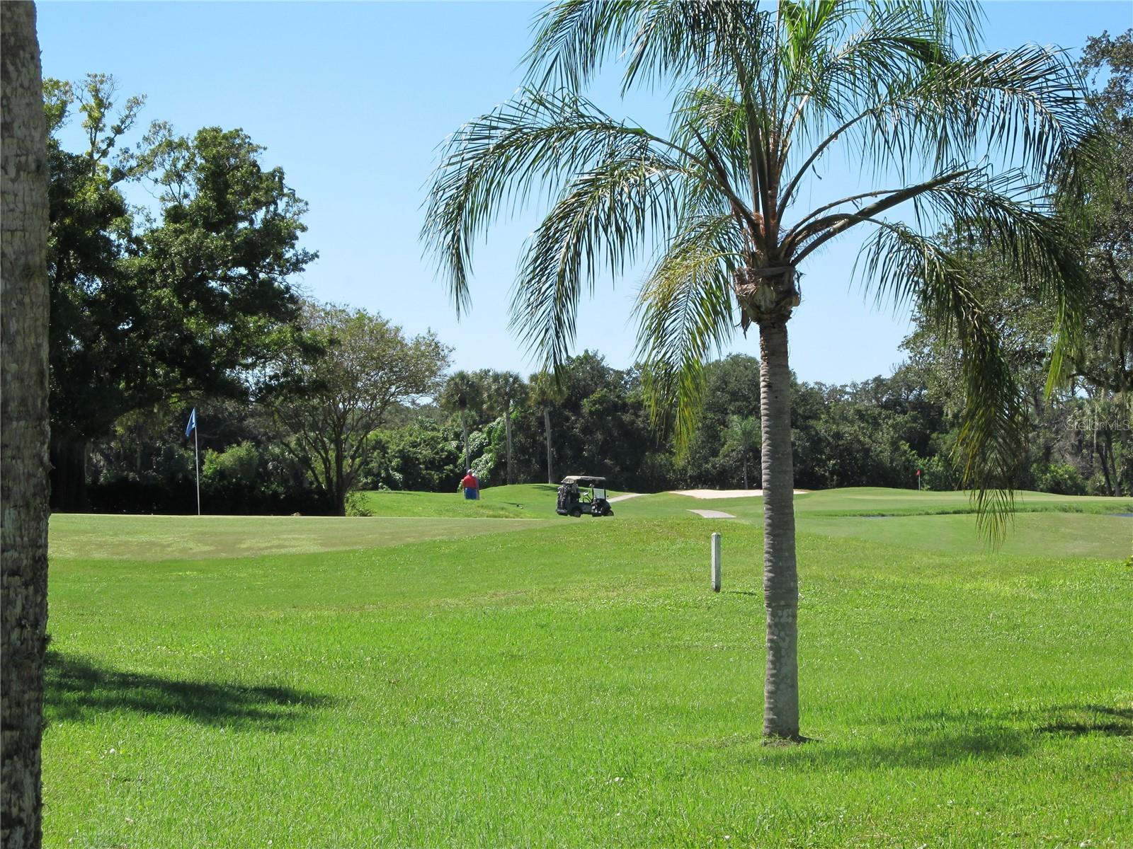 1023 CAPRI ISLES BLVD #6 — photo 3