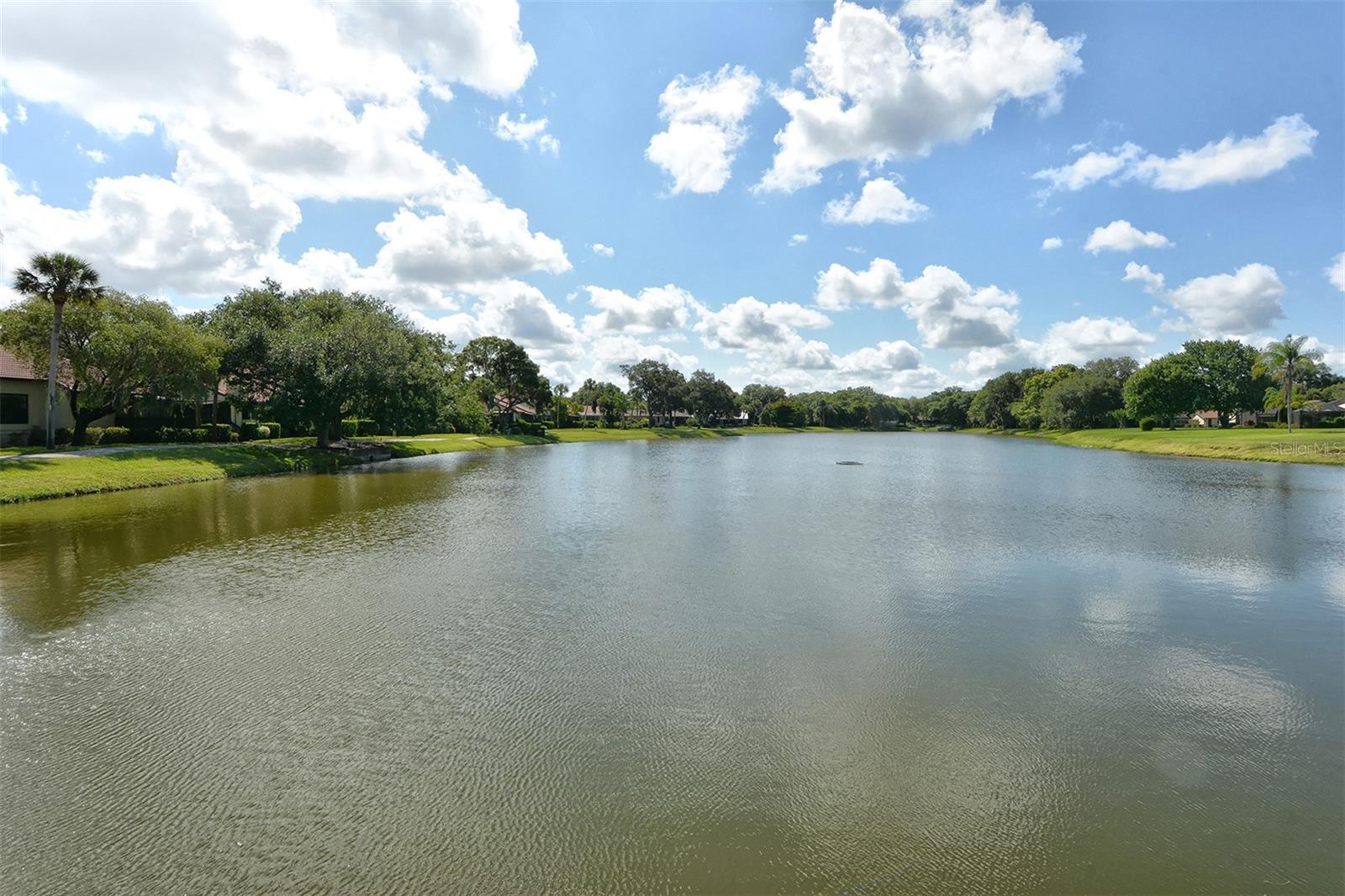4409 OAK VIEW DR — photo 79
