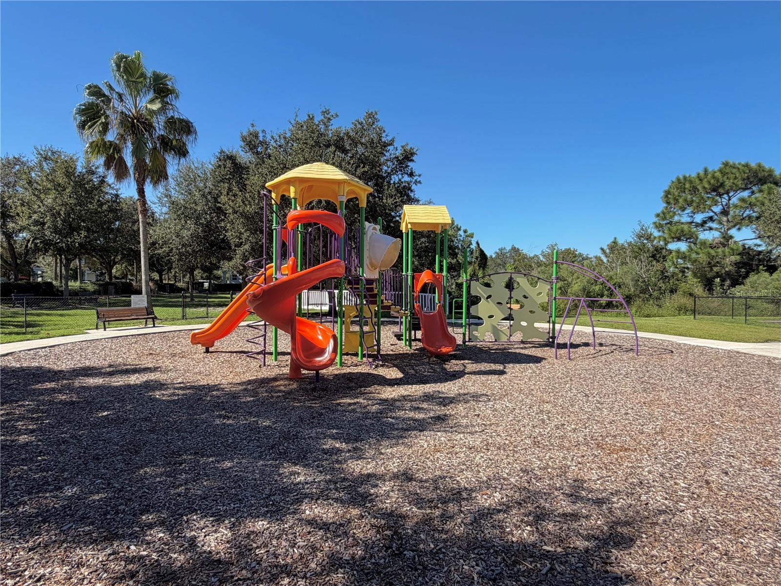 33075 FROSTED CLOVER WAY — photo 32