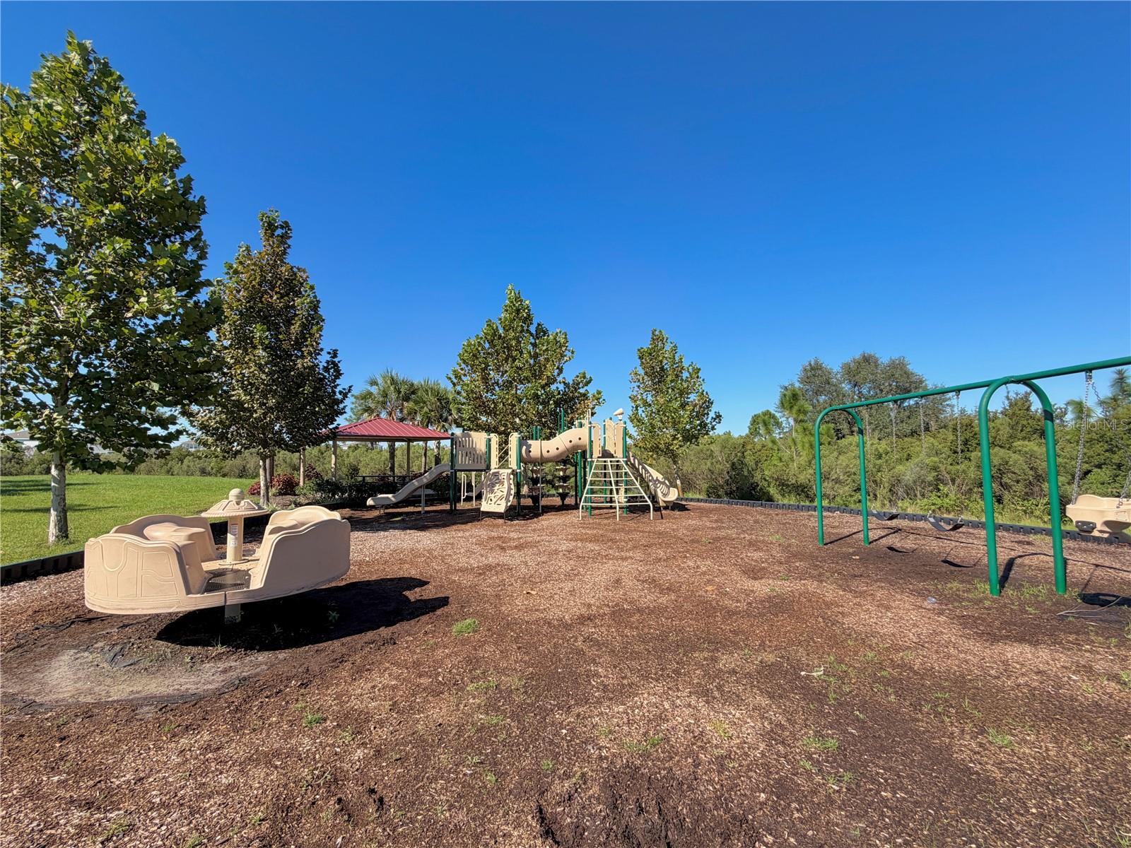 33075 FROSTED CLOVER WAY — photo 28
