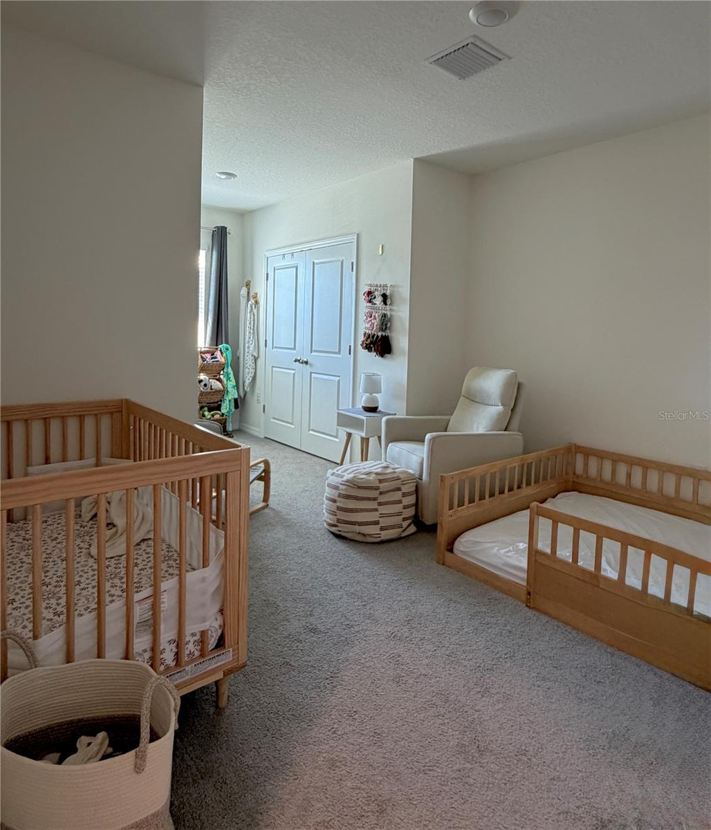 33075 FROSTED CLOVER WAY — photo 22