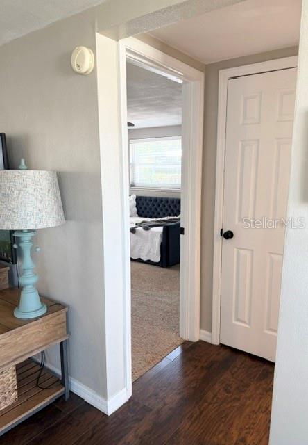 7910 ILEX DR — photo 11