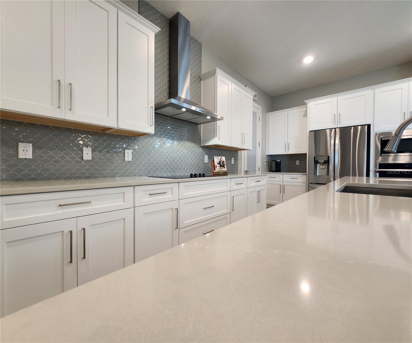 8896 DRUMMER PLANK DR — photo 42