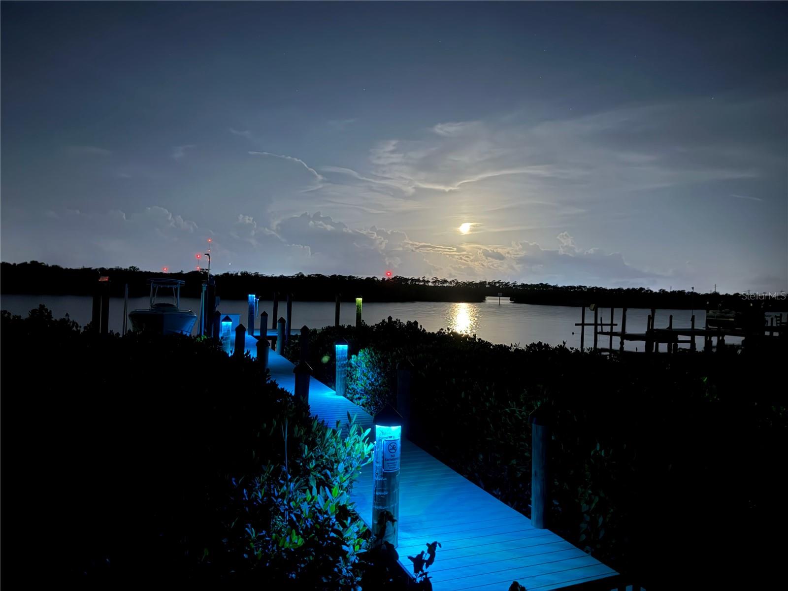Home in BRADENTON — photo 70