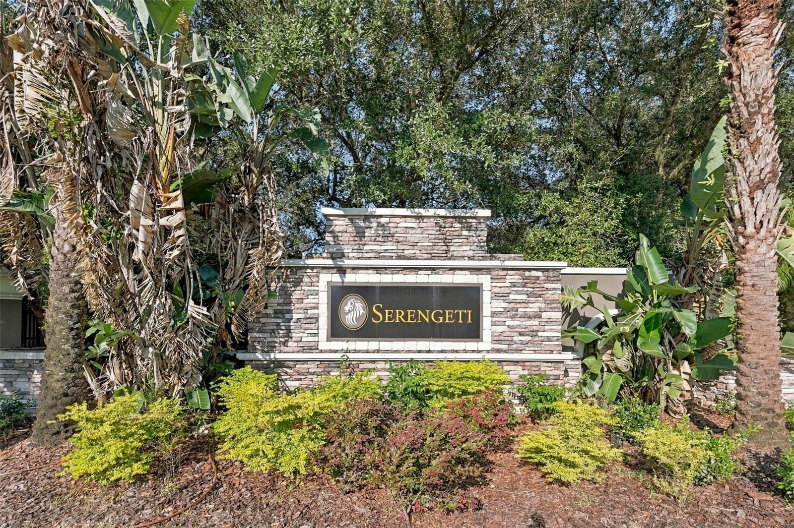 12820 SERONERA VALLEY CT — photo 100