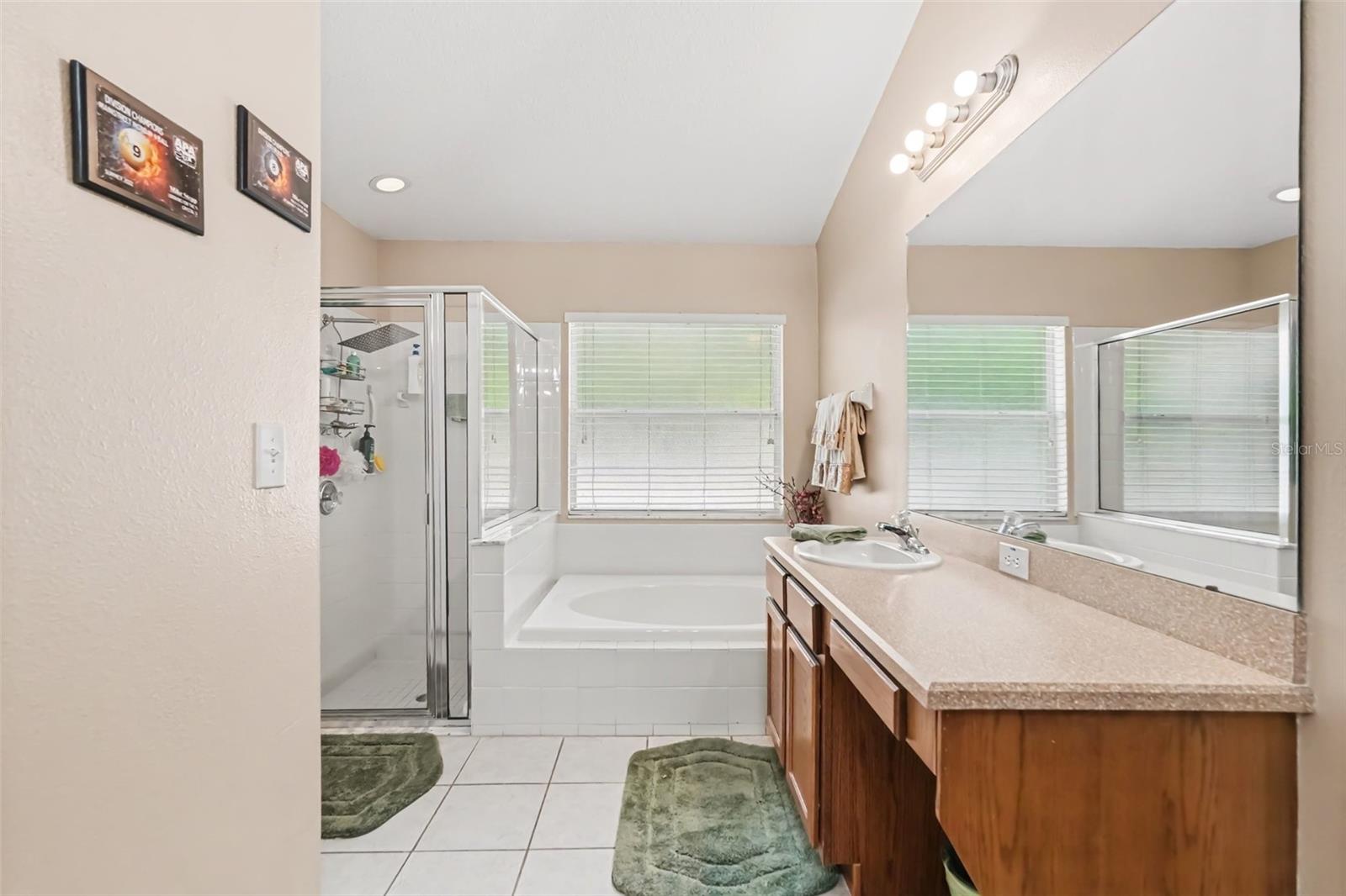 6805 BLUFF MEADOW CT — photo 9