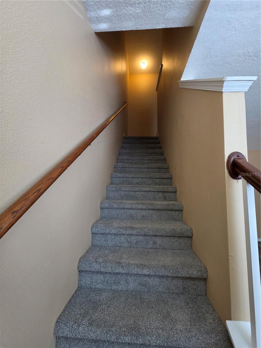 2425 MIDDLETON GROVE DR — photo 25