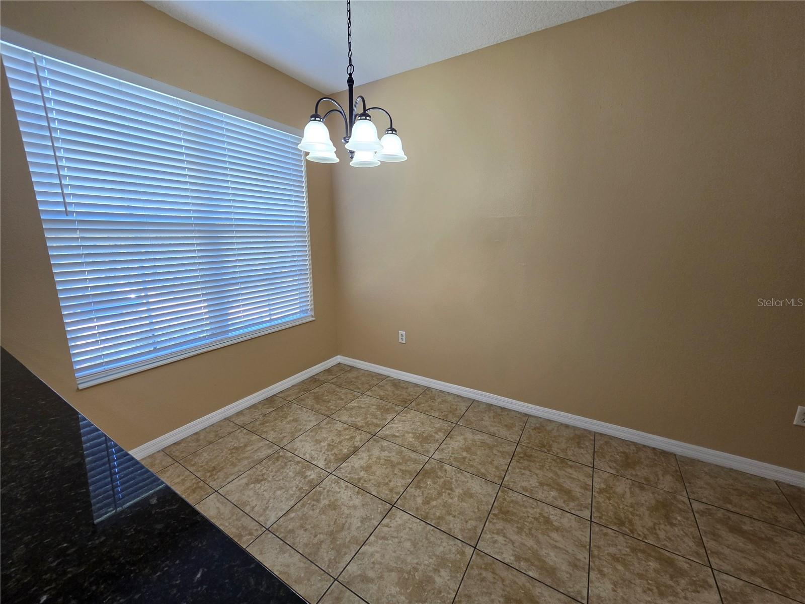 2425 MIDDLETON GROVE DR — photo 19