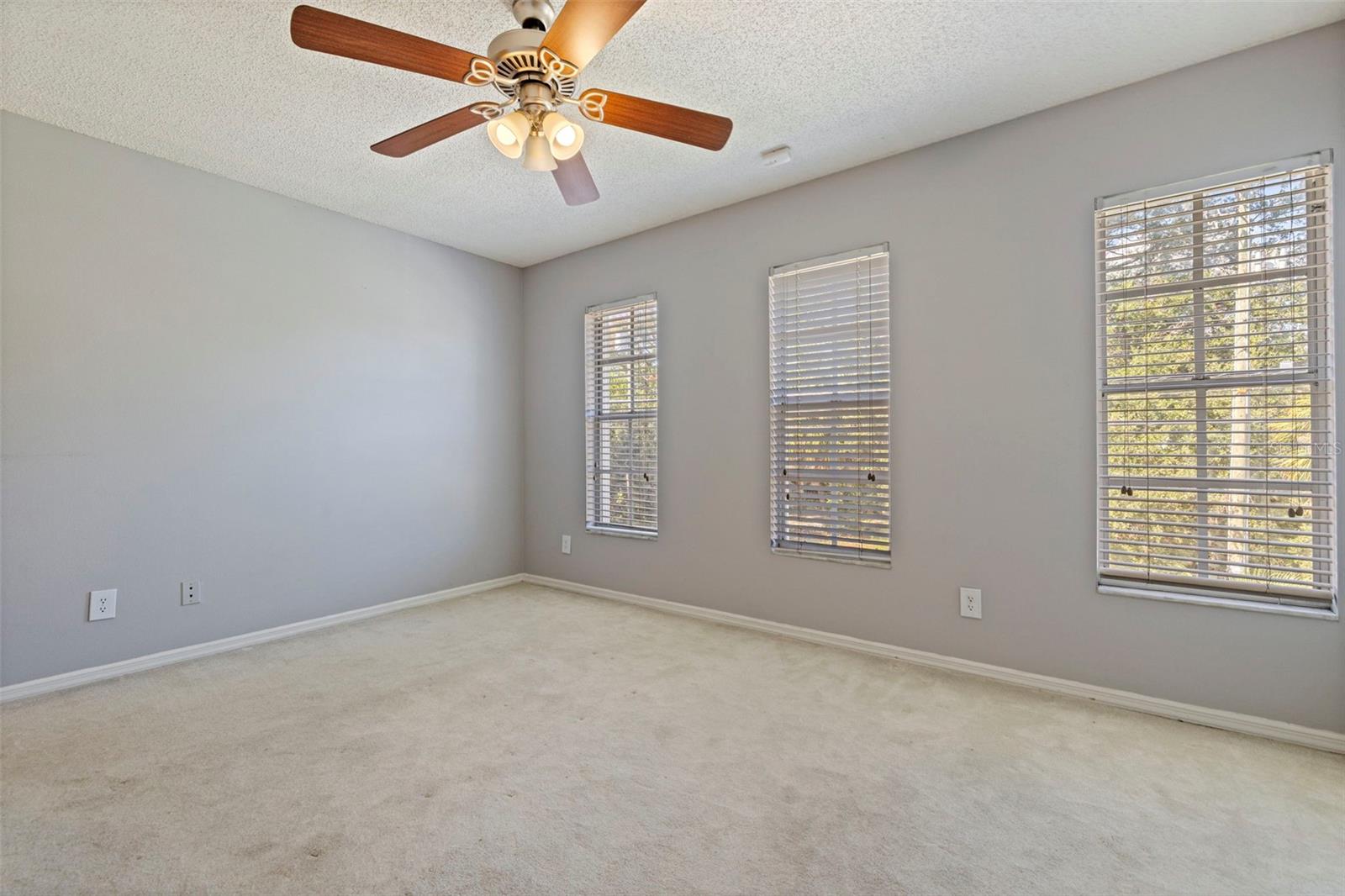 2802 W CLEVELAND ST #B — photo 18