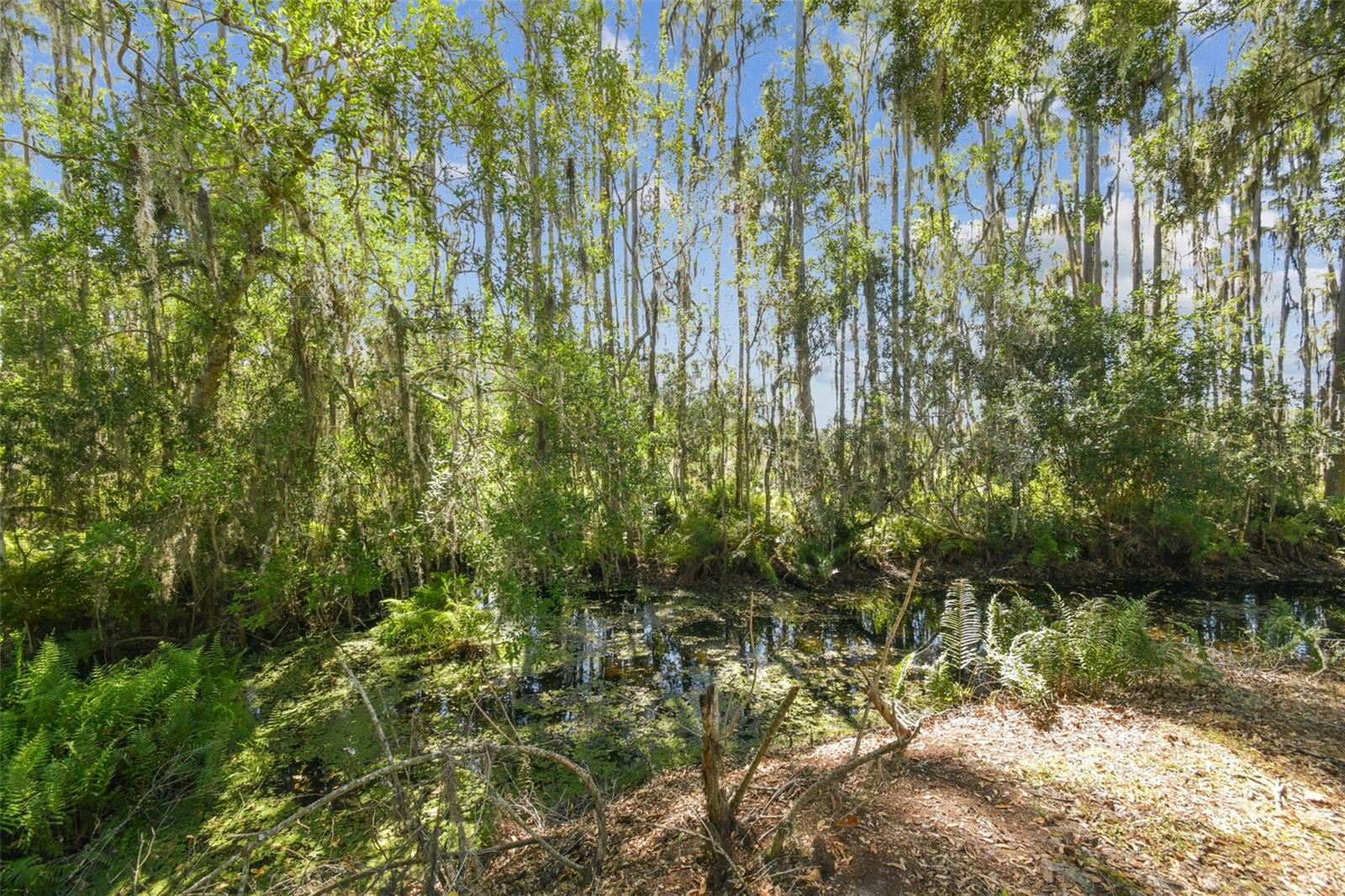 1627 HAMMOCKS AVE — photo 41