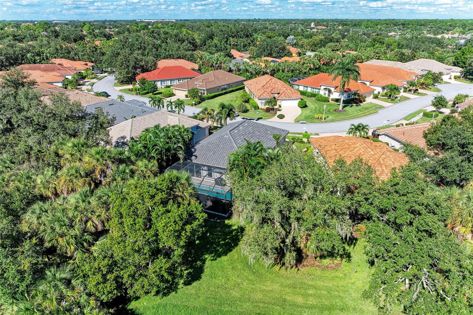 8352 CANARY PALM CT — photo 53