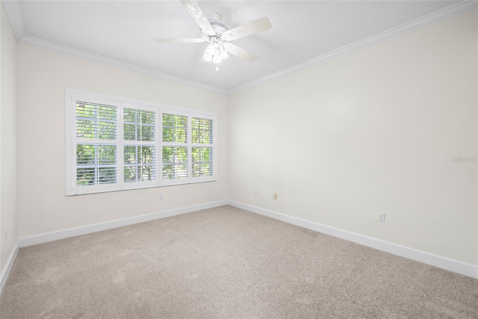 12009 BREWSTER DR — photo 38