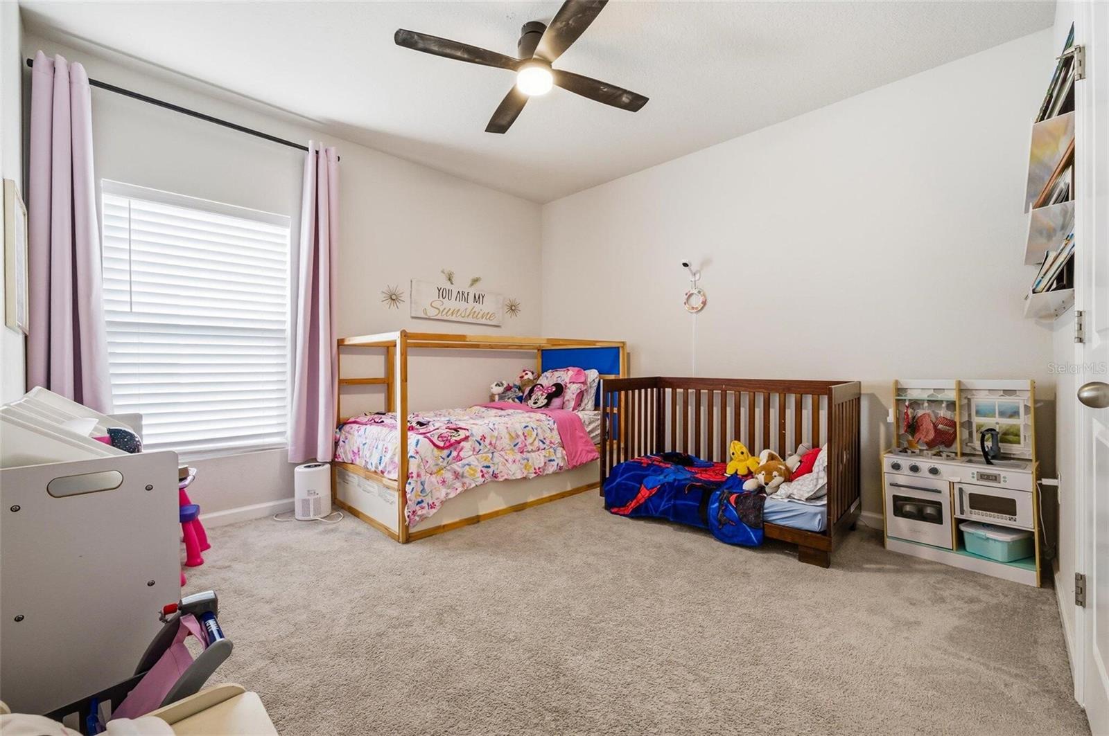 35191 BRIENNE ST — photo 24