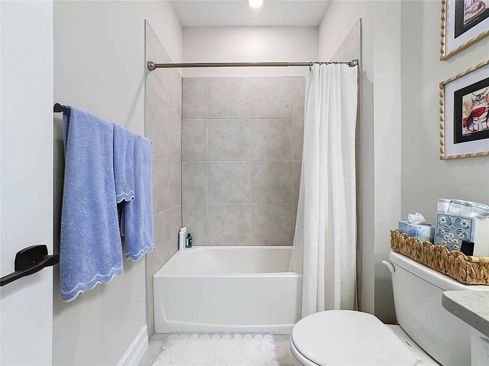 446 IBIZA LOOP — photo 32