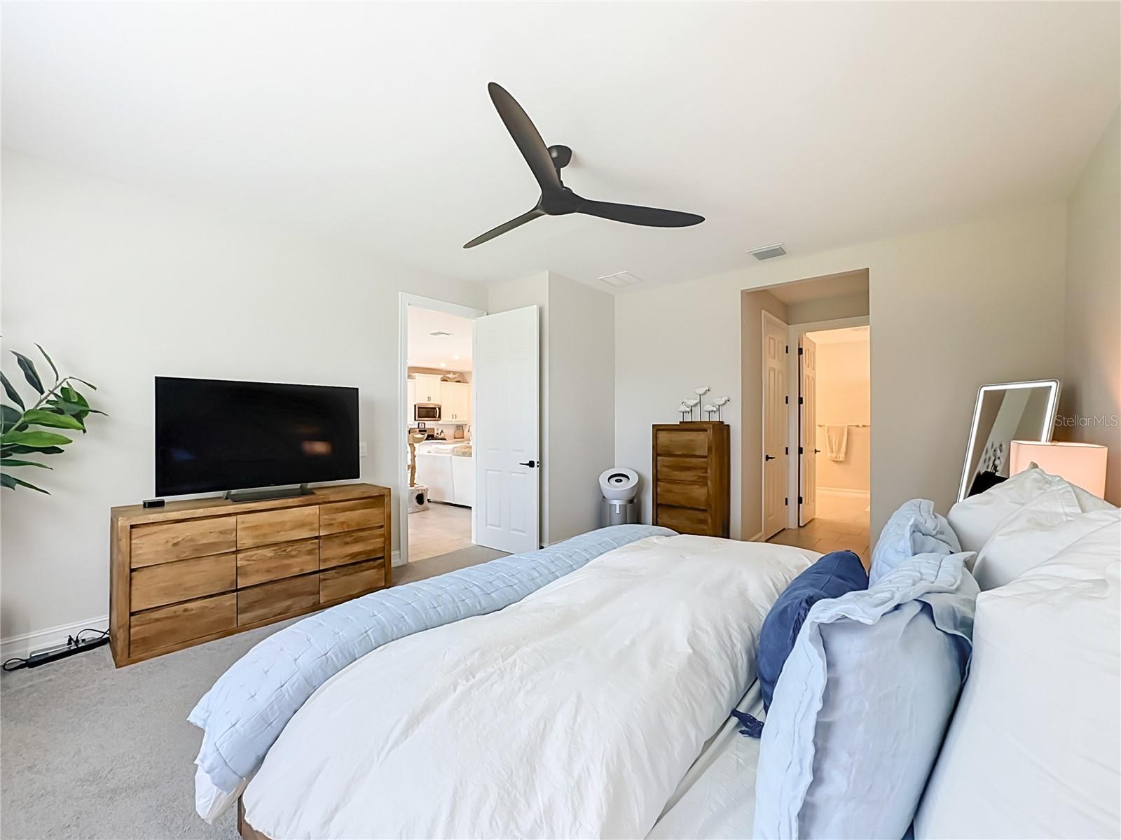 446 IBIZA LOOP — photo 20
