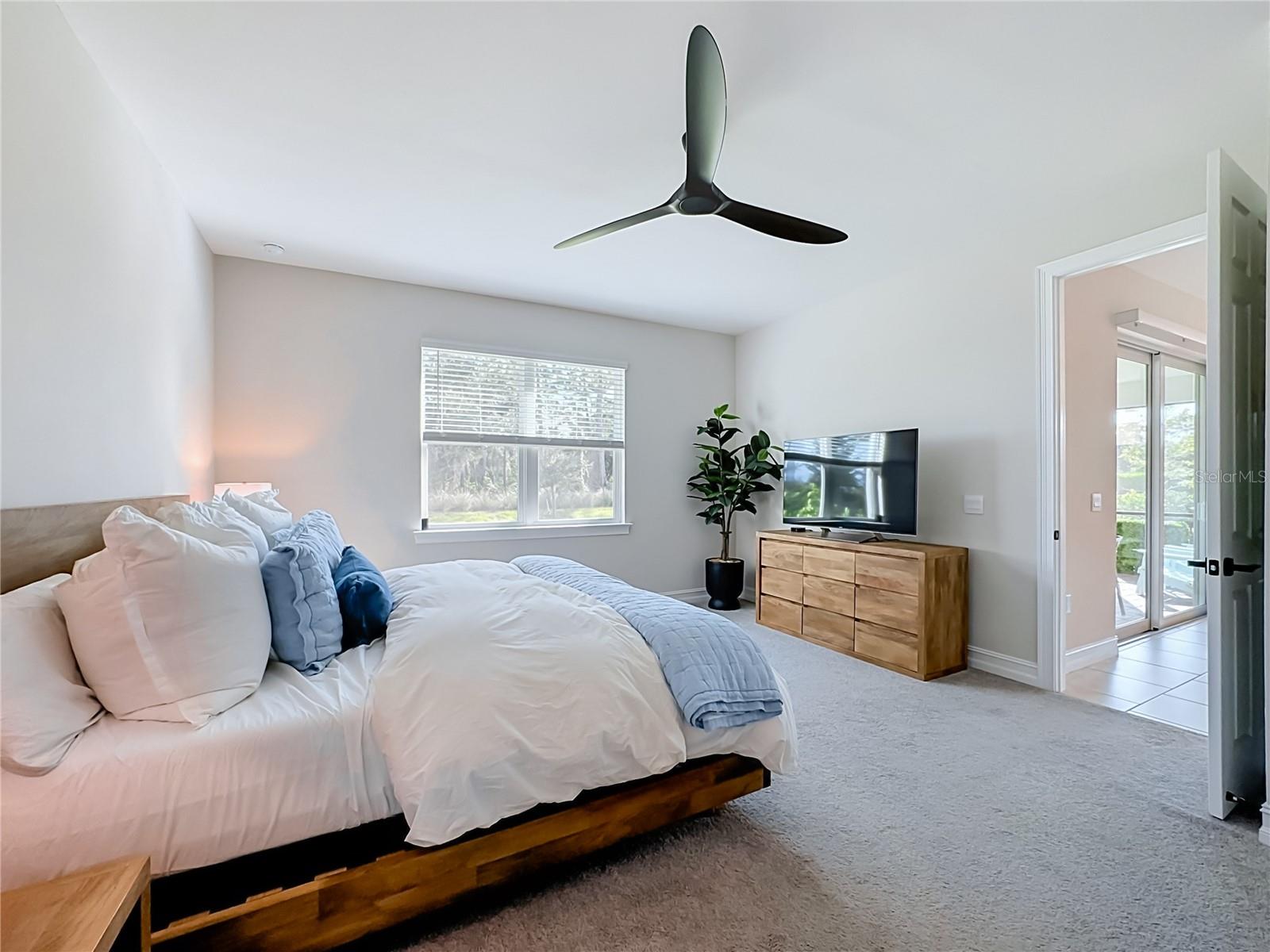 446 IBIZA LOOP — photo 25